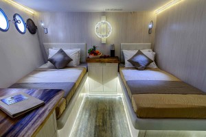 Pelagian Standard cabin